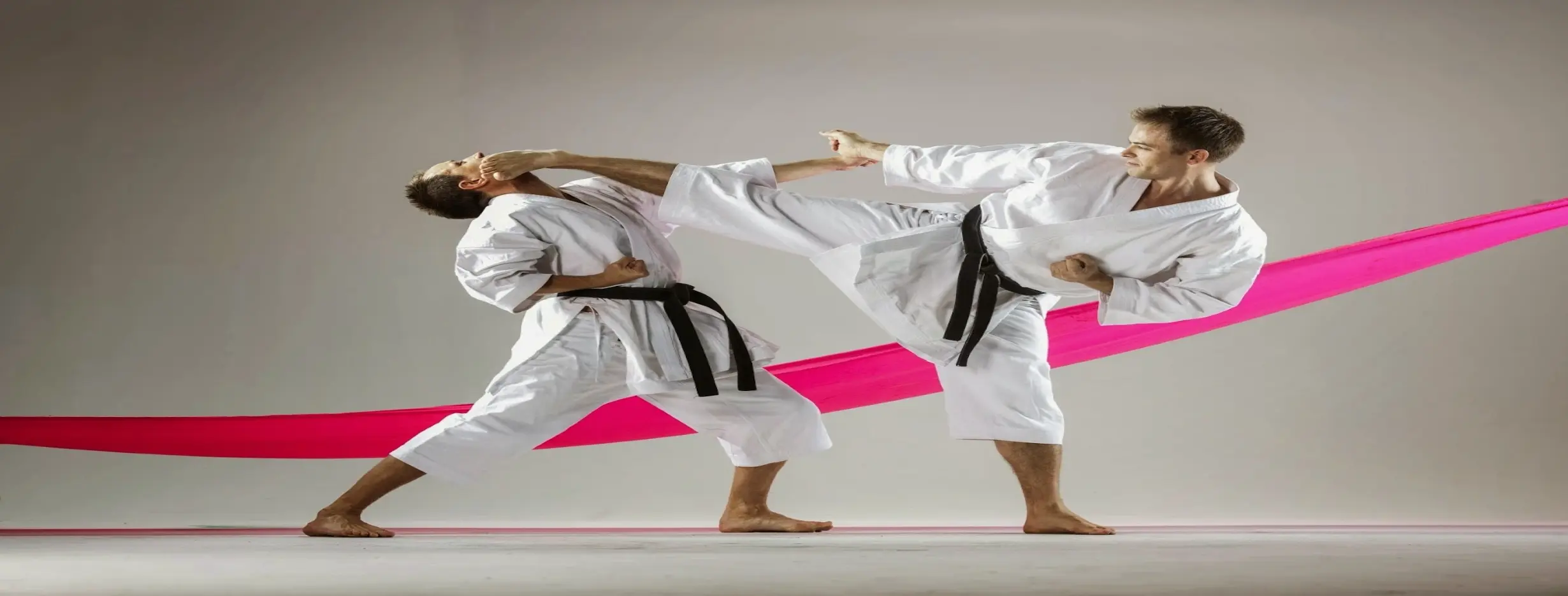 Image for Martial Arts